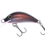 Gloog Hektor 35N, 3.5cm, 2gr (Floating), RC (Roach Copper)