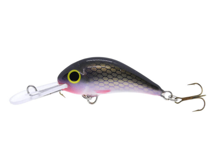 Gloog Parys 40N, 4cm, 2.5gr (Floating), R (Roach) - imagine 2