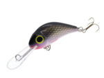 Gloog Parys 40N, 4cm, 2.5gr (Floating), R (Roach) - imagine 3