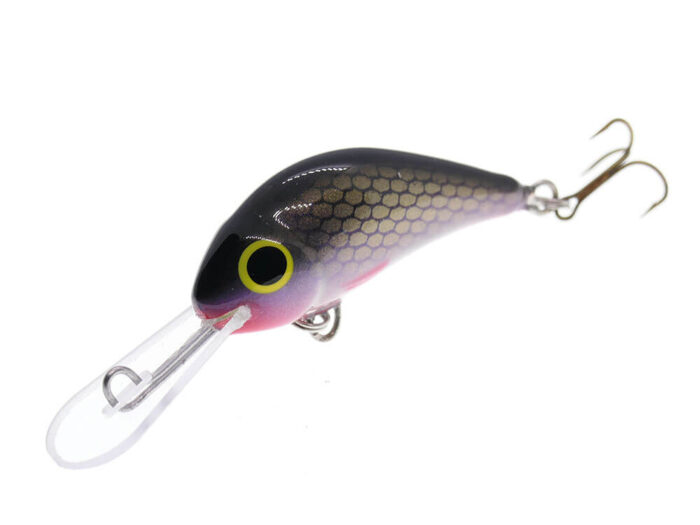 Gloog Parys 40N, 4cm, 2.5gr (Floating), R (Roach) - imagine 3