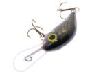 Gloog Parys 40N, 4cm, 2.5gr (Floating), R (Roach) - imagine 4