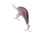 Gloog Parys 40N, 4cm, 2.5gr (Floating), RC (Roach Copper) - imagine 4