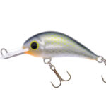 Gloog Parys 40N, 4cm, 2.5gr (Floating), RGF (Roach Green Fluo)