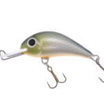 Gloog Parys 40N, 4cm, 2.5gr (Floating), RN (Roach Natural)