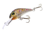 Gloog Parys 40N, 4cm, 2.5gr (Floating), TN1 (Trout Natural 1) - imagine 5