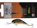 Gloog Parys 40N, 4cm, 2.5gr (Floating), TN1 (Trout Natural 1) - imagine 7