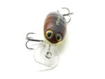 Kamatsu Lucky Bug 3.5cm, 3.1gr (Floating), Culoare 004 - imagine 7