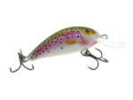 Vidra Lures Agility 4.5cm, 6gr, Sinking, RBT (Rainbow Trout) - imagine 3