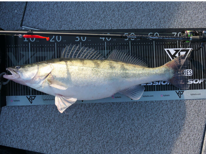 Lanseta Spinning Konger Templar CX Single Worrior 1.98m, 5-18gr, X-Fast (dintr-o bucata) - imagine 4