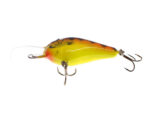 Vidra Lures Nautilus DR (Deep Runer) 6cm, 16gr, Floating, HP (Hot Perch) - imagine 4
