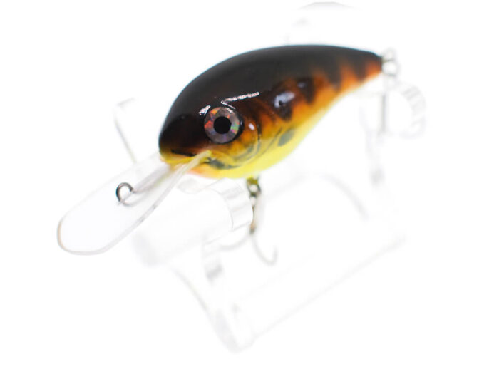 Vidra Lures Nautilus DR (Deep Runer) 6cm, 16gr, Floating, HP (Hot Perch) - imagine 6