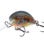 Vidra Lures Atomic Chub 2.8cm, 5gr, Sinking, TR (Trout)